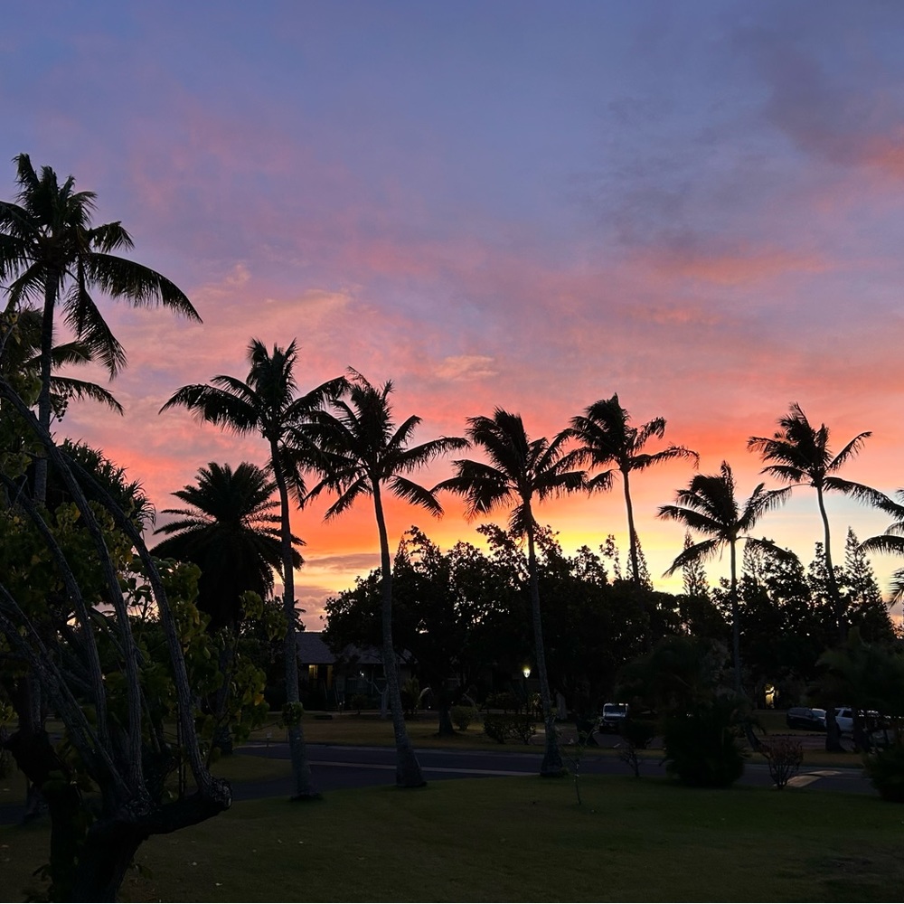 Meet your Posher, Lizzie